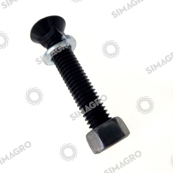 Tornillo reja Giorgi completo